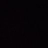 soares veiga's profile picture