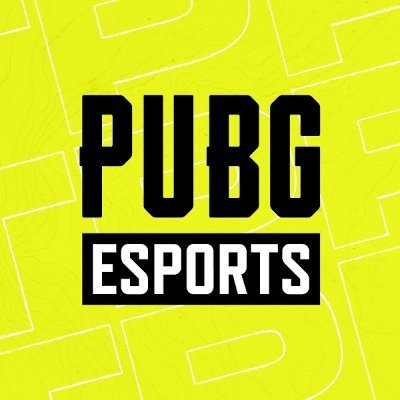 PUBG Esports JAPAN's profile picture