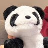 もり🐼's profile picture