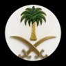 علـي العلي 的头像