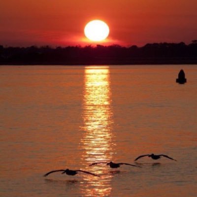 NewsBeeHQ's profile picture