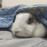 Фото профиля Sinzq💚🐤🍉🍑🐰