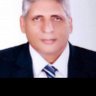 talaat kortam's profile picture