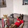OLUWATIMILEYIN's profile picture