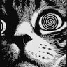 blank's profile picture