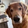 Sullyin29566 profil fotoğrafı