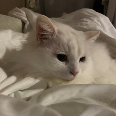 xzhuangsi44's profile picture