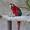 おーちゃん profil fotoğrafı