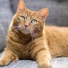 ℰ𝓊𝑔𝑒𝓃𝑒 profil fotoğrafı