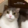 Фото профиля mewwwmew