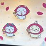 miso 的头像