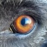 Víctor D. profil fotoğrafı