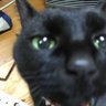 Фото профиля みちゃこ🦁RILYS_MATE