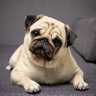 Gun's profile picture