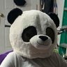 HeadPanda profil fotoğrafı