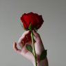 lucas's profile picture