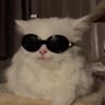Profilbild von oooooooooomu