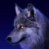 Shado_514's profile picture