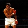 The Boxing biker's profile picture