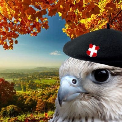 Faucon Alpin 🏔️'s profile picture