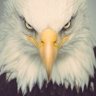 Amber✝️🙏 🇺🇸🌎🐸🙏✝️ profil fotoğrafı