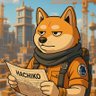 Omega_BNB's profile picture