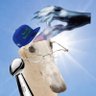 Warmbodie's profile picture