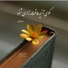 rezaei's profile picture