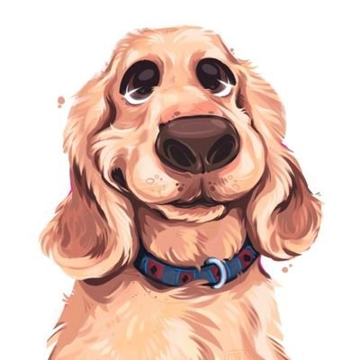noemipataaa's profile picture