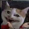 ༒☠ ༒ profil fotoğrafı