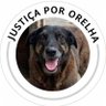 Ctz é Bolsonarista◤✠◢ profil fotoğrafı