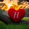 Profilbild von Hany