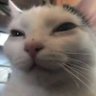 Profilbild von Elryuwa