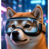 Funny paws Ai 的头像