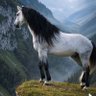 Garza Blanca's profile picture
