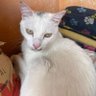 Vanessa profil fotoğrafı