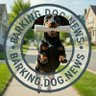 Barking Dog News. 的头像