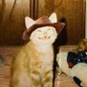 extoviucurateriantula's profile picture