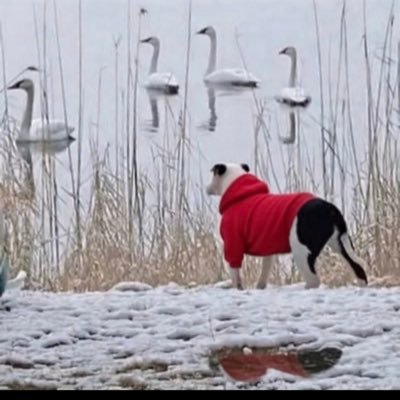 MonaElizabeth56's profile picture