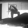 Shaunnio's profile picture