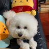 Dennis's profile picture
