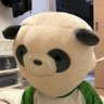 ヨッシー 的头像