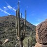 Фото профиля Arizona🌵60622 🇺🇸