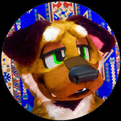 yoinomachi's profile picture
