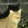 Profilbild von blindedbylightcat