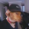 Jojo's profile picture