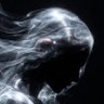Blackwood's profile picture
