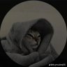 meckneldev's profile picture