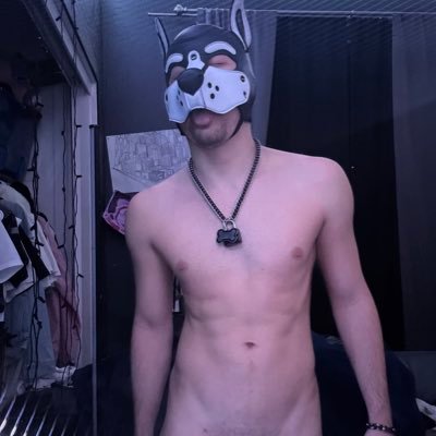 puplykros's profile picture