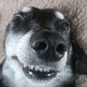Ivor Nuff profil fotoğrafı